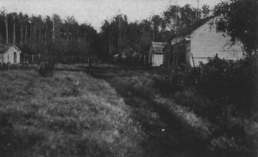 A Meadow at McMurray